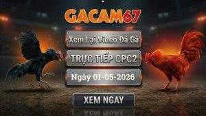 Xem Lại Video Đá Gà CPC2 Ngày 01/05/2026