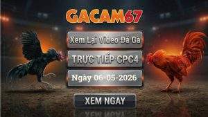 Xem Lại Video Đá Gà CPC4 Ngày 06/05/2026