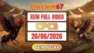 Xem Lại Video Đá Gà CPC3 Ngày 20/06/2026 Tại GACAM67